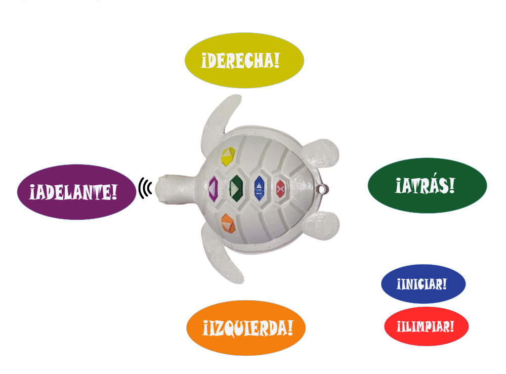 robot_tom_tortuga_programacion