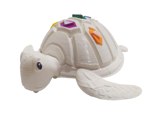 TortugaRoboticaLadoIzquierdo Tortuga Robótica Lado Izquierdo