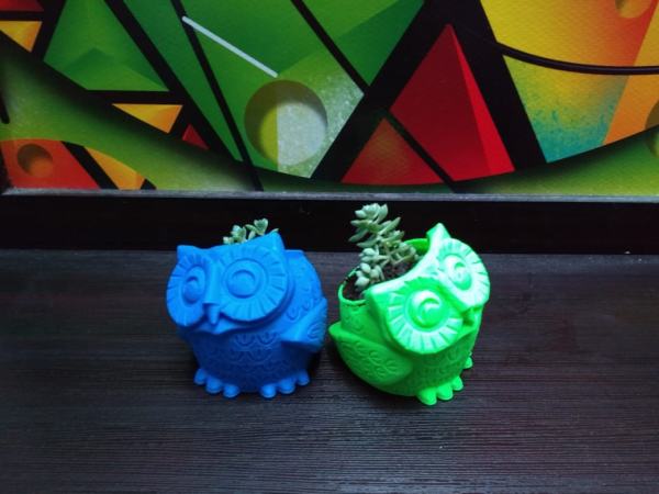 Maceta Buho Maceta Buho