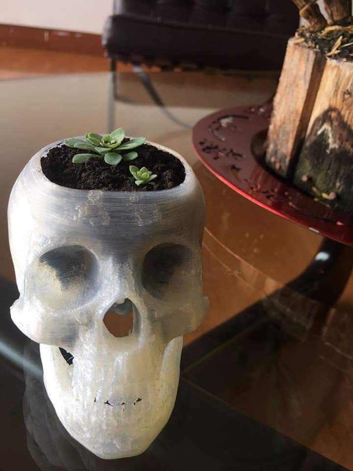 calavera maceta porta lapices calavera maceta porta lapices