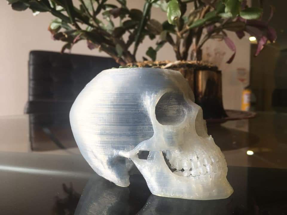 FB_IMG_1544882246365