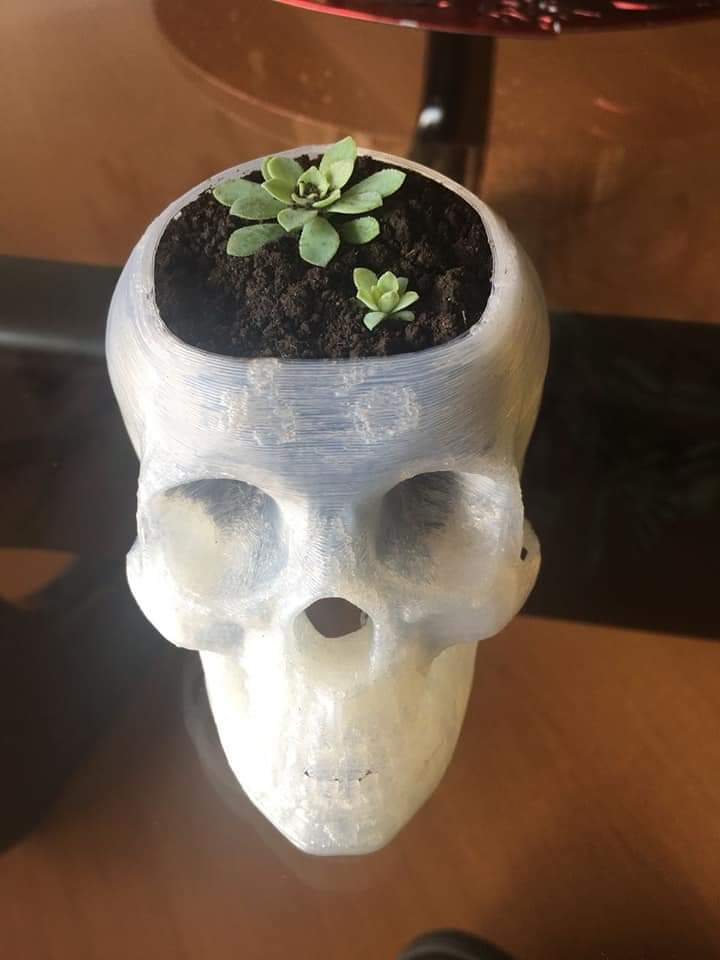 calavera maceta porta lapices calavera maceta porta lapices