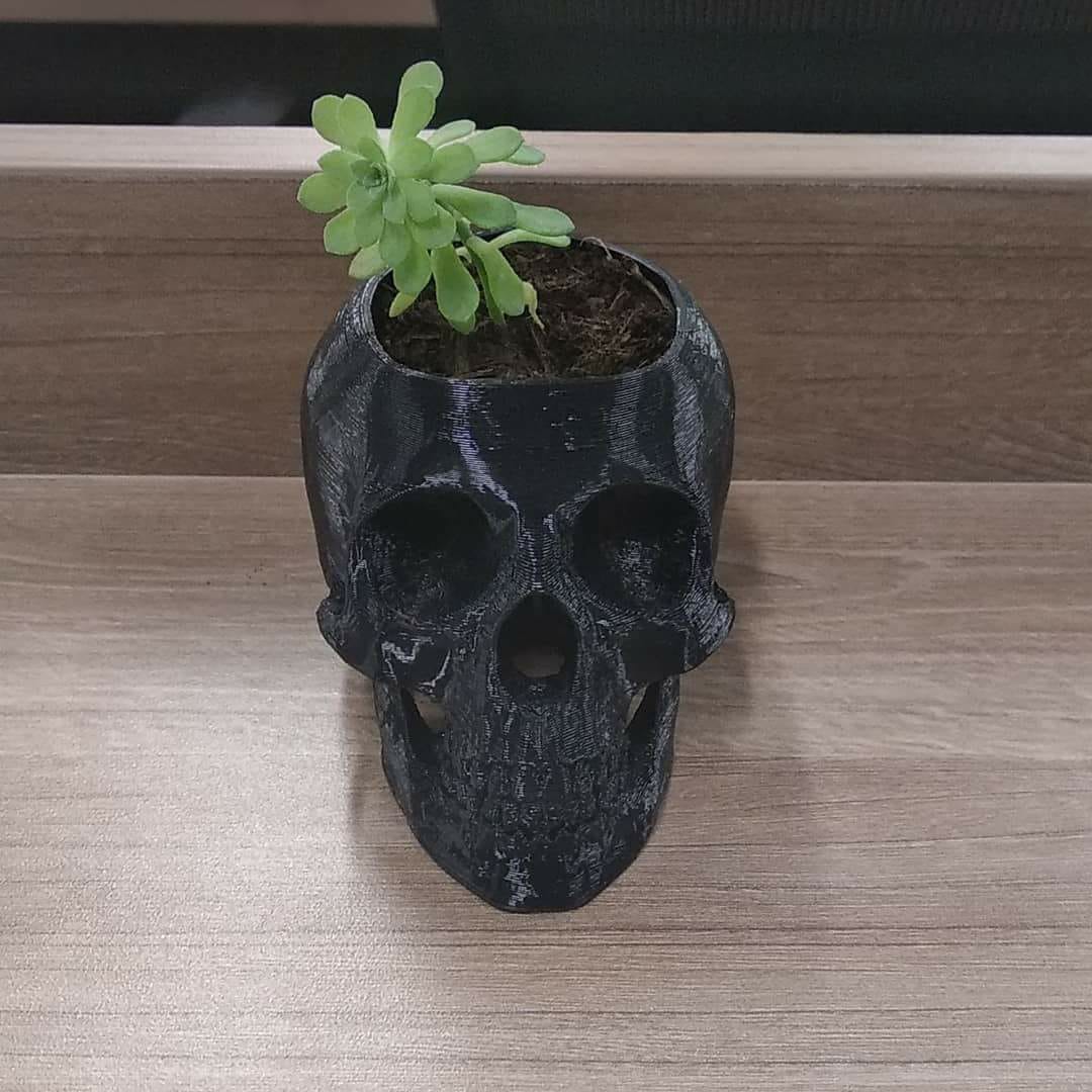 calavera maceta porta lapices calavera maceta porta lapices