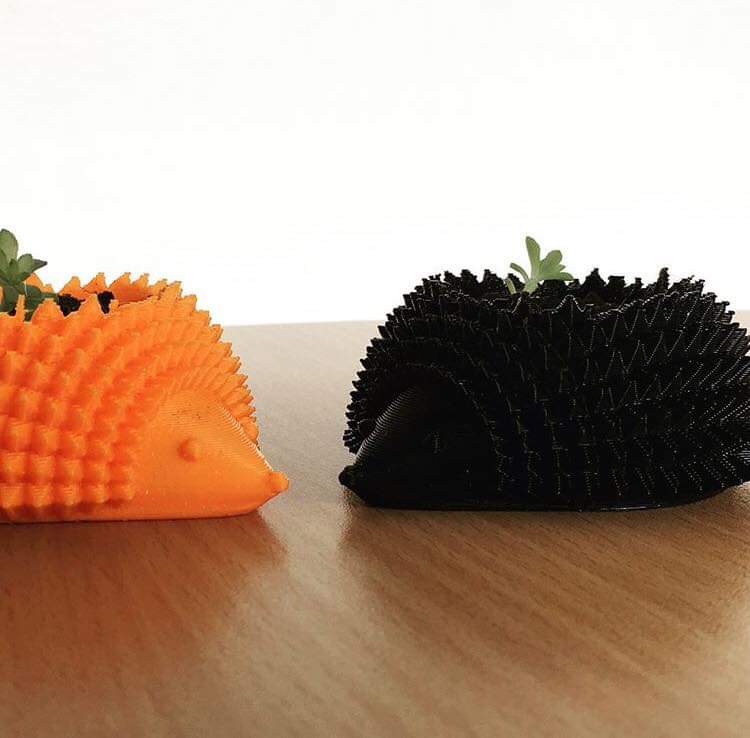 Macetas erizo Macetas erizo