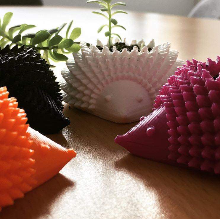 Macetas erizo Macetas erizo