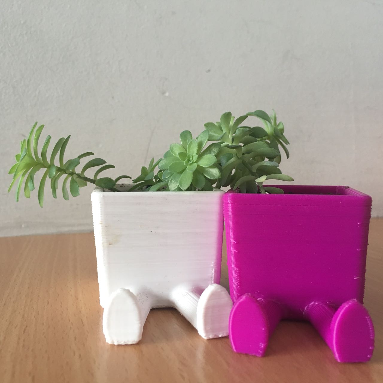 Maceta Pies Maceta Pies