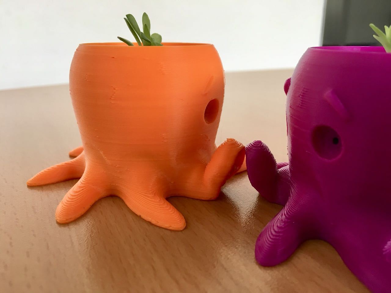 Maceta pulpo Maceta pulpo